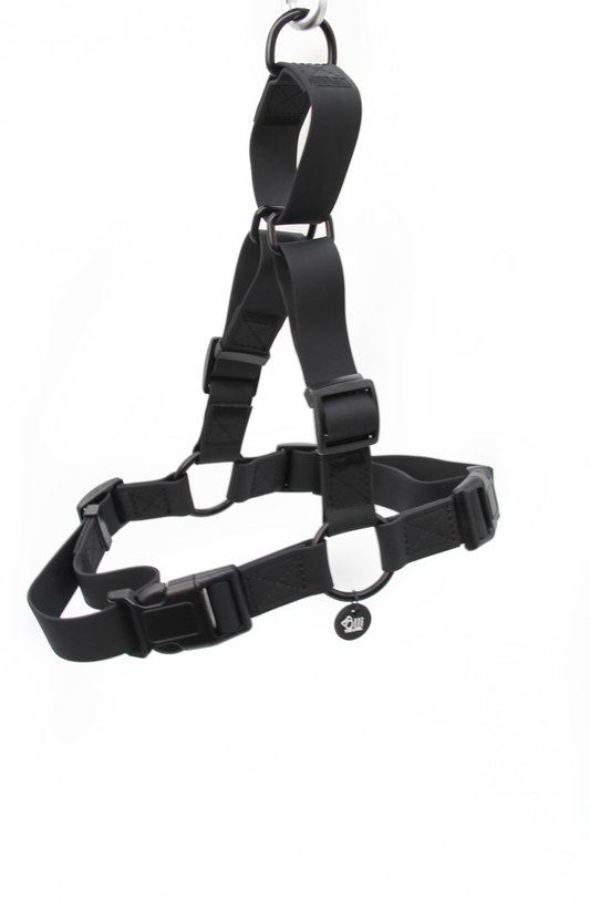 Neutral black harness