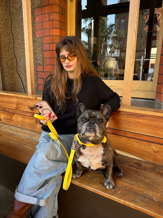 Waterproof Dog Lead and Collar Set – Mango Yellow