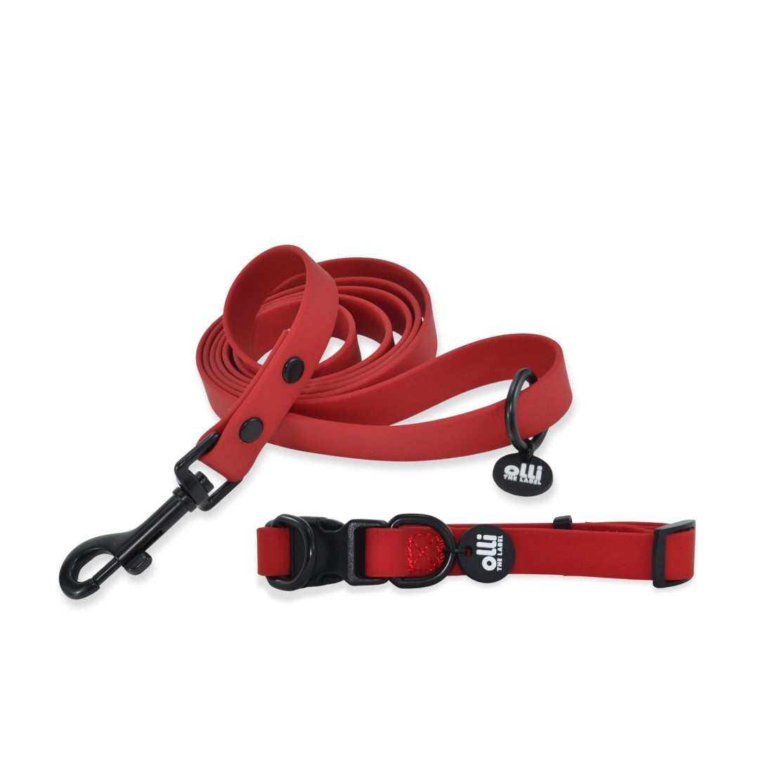 Waterproof Dog Lead and Collar Set – Candy Red