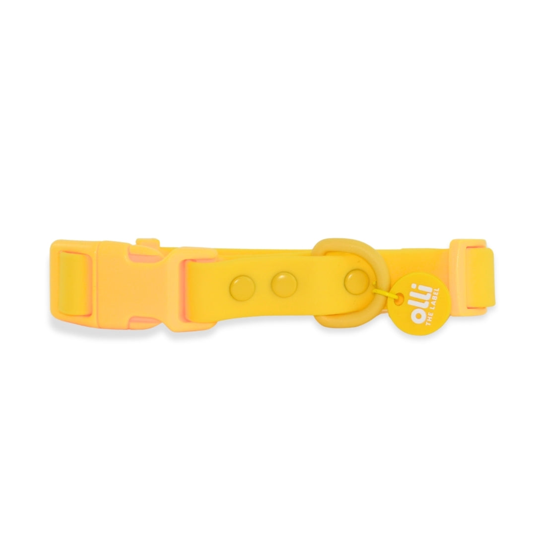 Waterproof Dog Collar – Mango Yellow