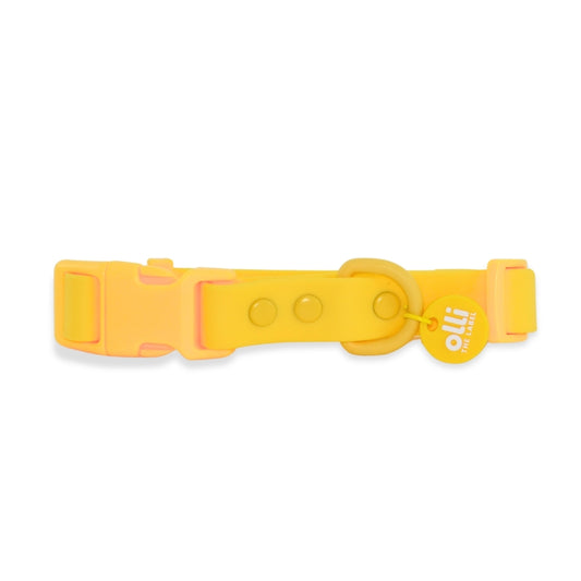 Waterproof Dog Collar – Mango Yellow