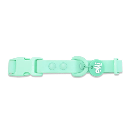Waterproof Dog Collar – Turquoise