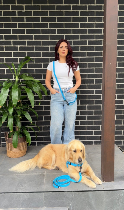 Waterproof Dog Harness and Lead Set – Olli Blue
