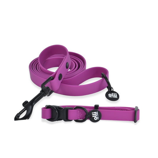 Waterproof Dog Lead and Collar Set – Purple Fuchsia