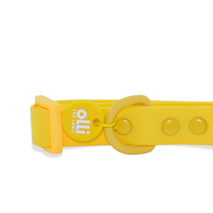 Waterproof Dog Collar – Mango Yellow