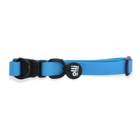 Waterproof Dog Collar – Olli Blue