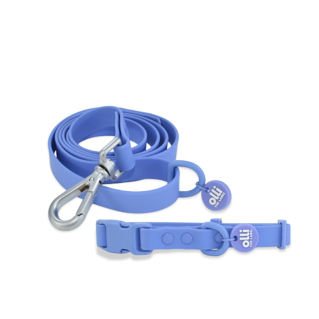 Waterproof Dog Lead and Collar Set – Periwinkle Purple
