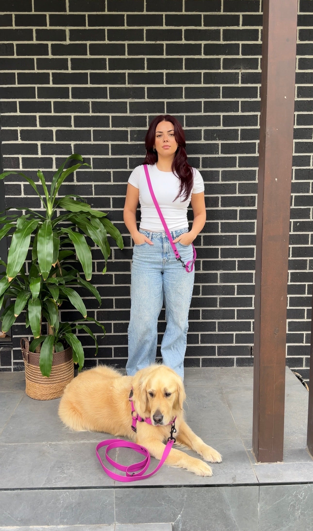 Waterproof Dog Harness and Lead Set – Purple Fuchsia