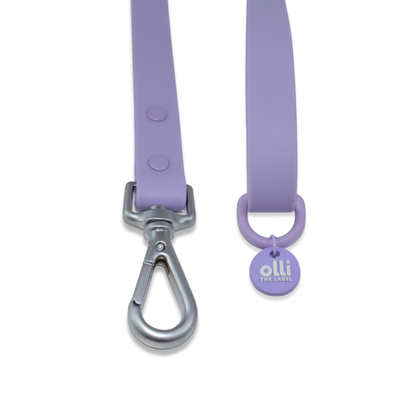 Waterproof Dog Lead and Collar Set – Lavender Bloom
