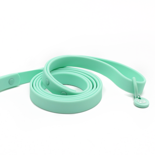 turquoise lead