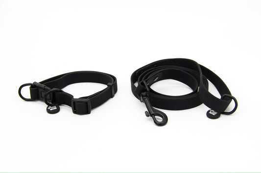 Waterproof Dog Lead and Collar Set – Neutral Black