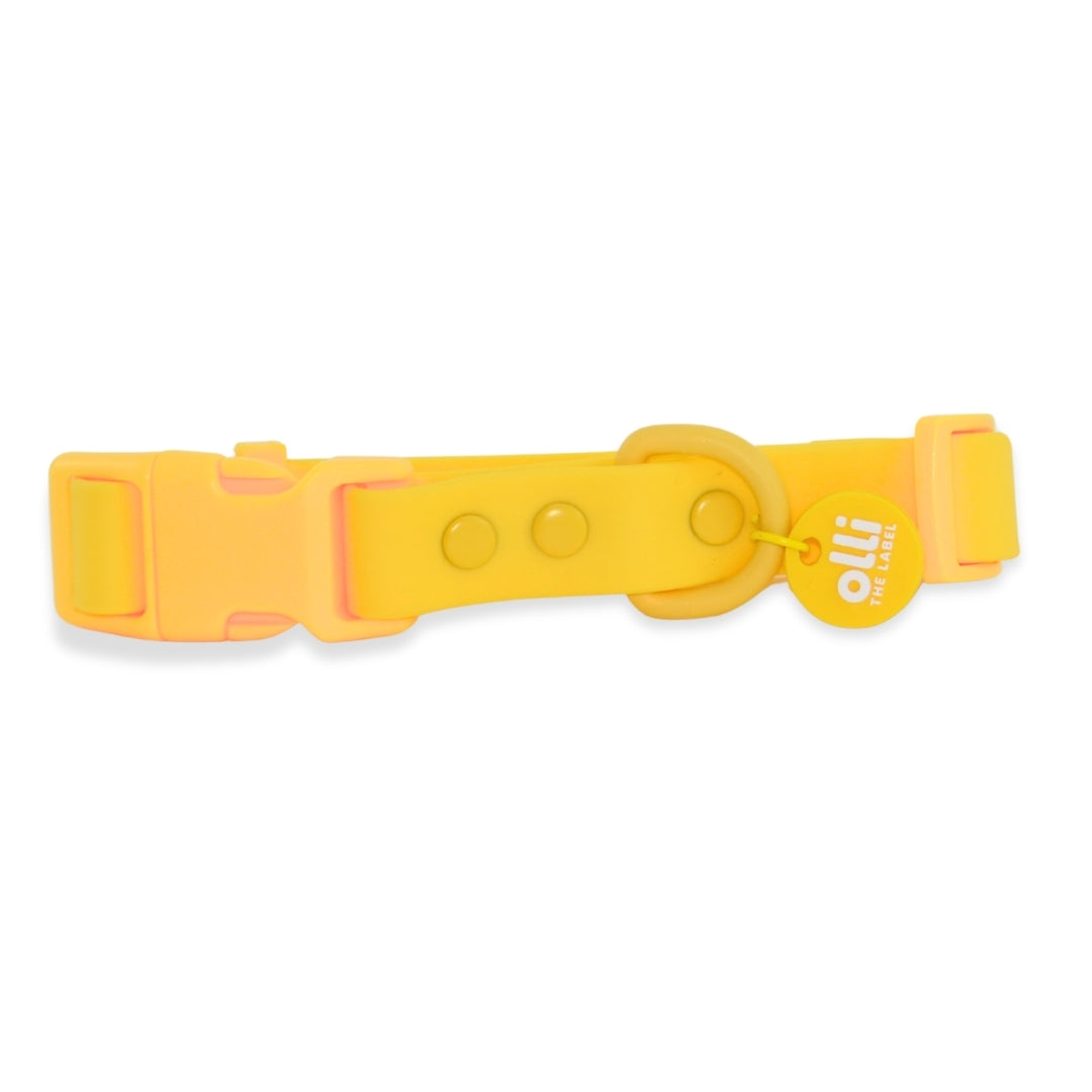 Waterproof Dog Lead and Collar Set – Mango Yellow