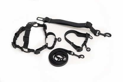 Neutral Black Waterproof Full Set- Lead + Collar + Harness + Seat Belt