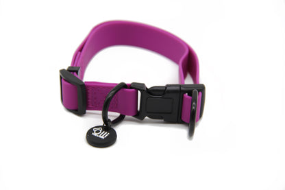 Purple Fuchsia Waterproof Full Set- Lead + Collar + Harness + Seat Belt