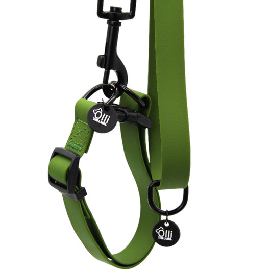 camo green lead + collar