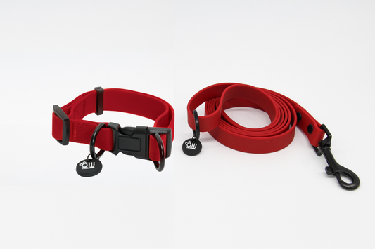 Waterproof Dog Lead and Collar Set – Candy Red