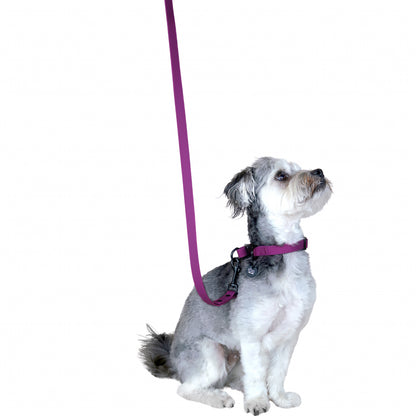 Purple Fuchsia Waterproof Collar