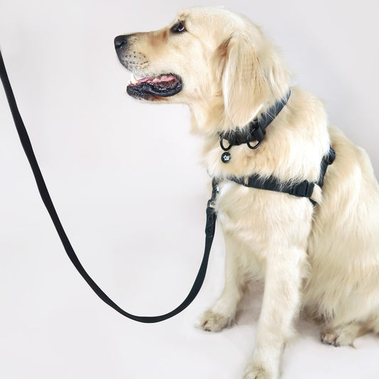 Waterproof Dog Harness – Neutral Black – Adjustable