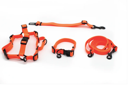Neon Orange Waterproof Full Set- Lead + Collar + Harness + Seat Belt