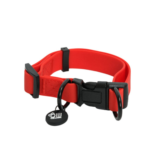 candy red collar