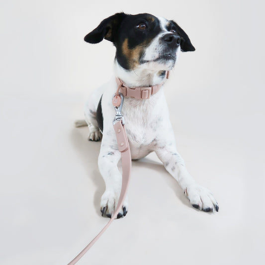 Waterproof Dog Collar – Pale Pink