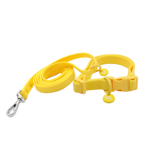mango yellow lead + collar