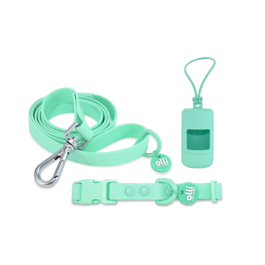 Olli Everyday Set - Lead + Collar + Poop Bag Bundle - Turquoise