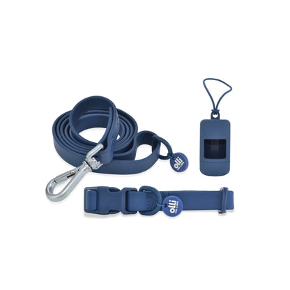 Everyday Set - Lead + Collar + Poop Bag Bundle - Berry Blue