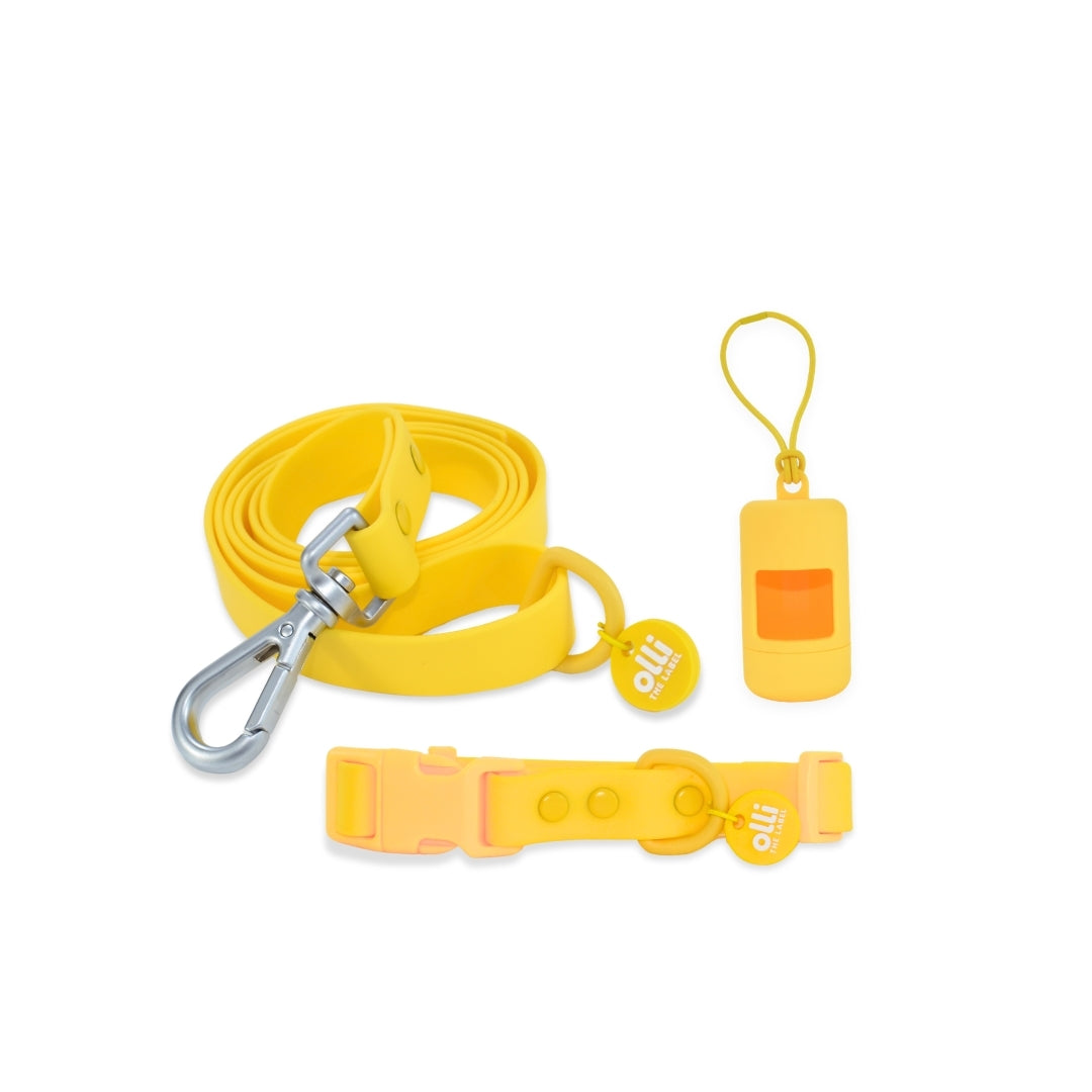 Everyday Set - Lead + Collar + Poop Bag Bundle - Mango Yellow