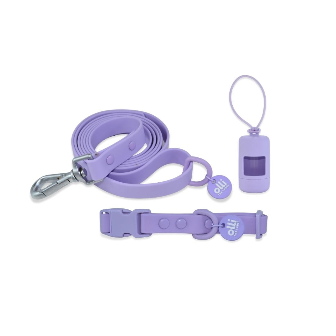 Everyday Set - Lead + Collar + Poop Bag Bundle - Lavender Bloom
