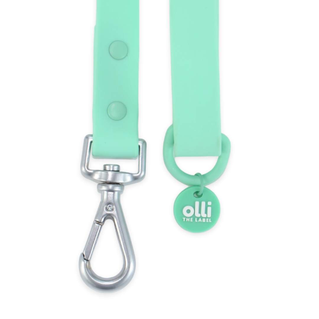 Lead + Collar Bundle- Turquoise