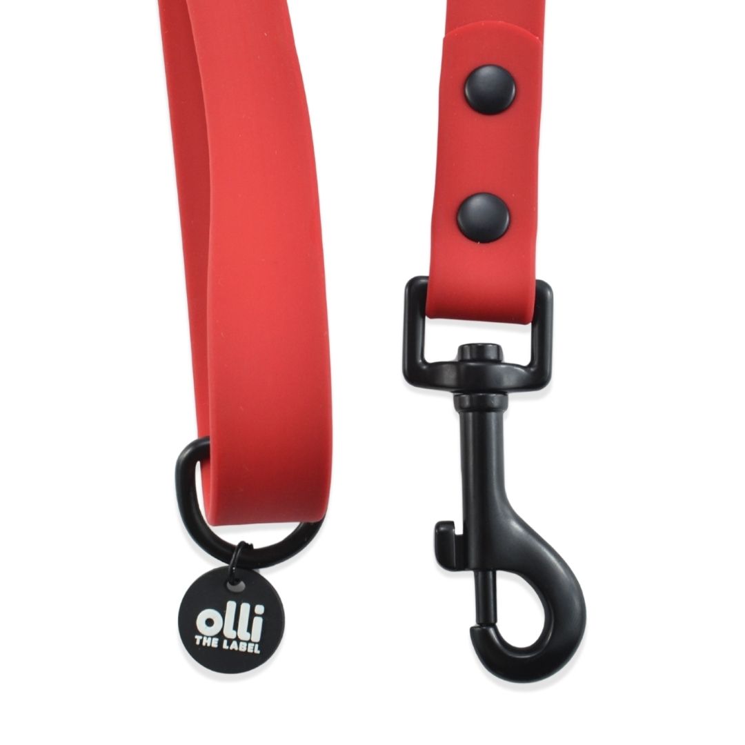 Waterproof Dog Lead – Candy Red