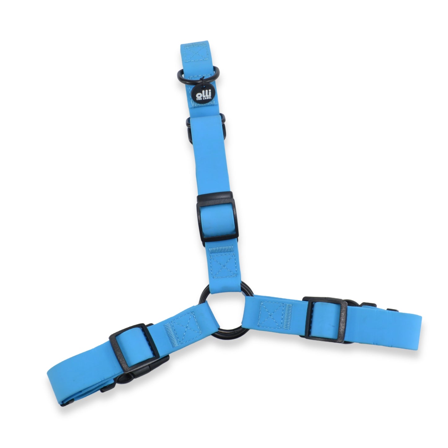 Lead + Harness Bundle- Olli Blue