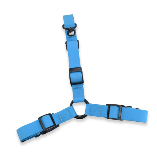 Waterproof Dog Harness – Olli Blue – Adjustable