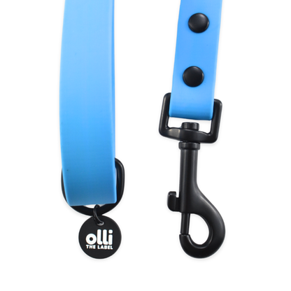 Lead + Collar Bundle- Olli Blue