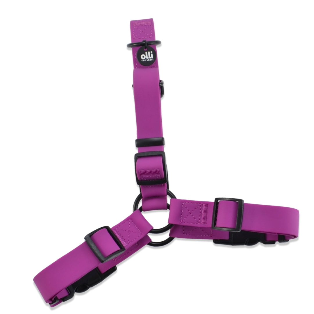 Lead + Harness Bundle- Purple Fuchsia
