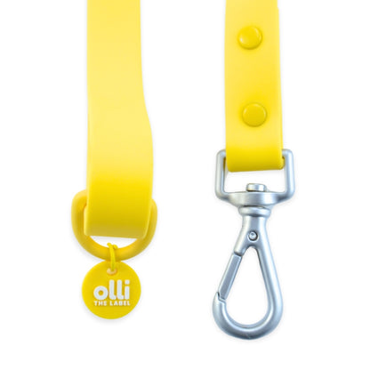 Lead + Collar Bundle- Mango Yellow