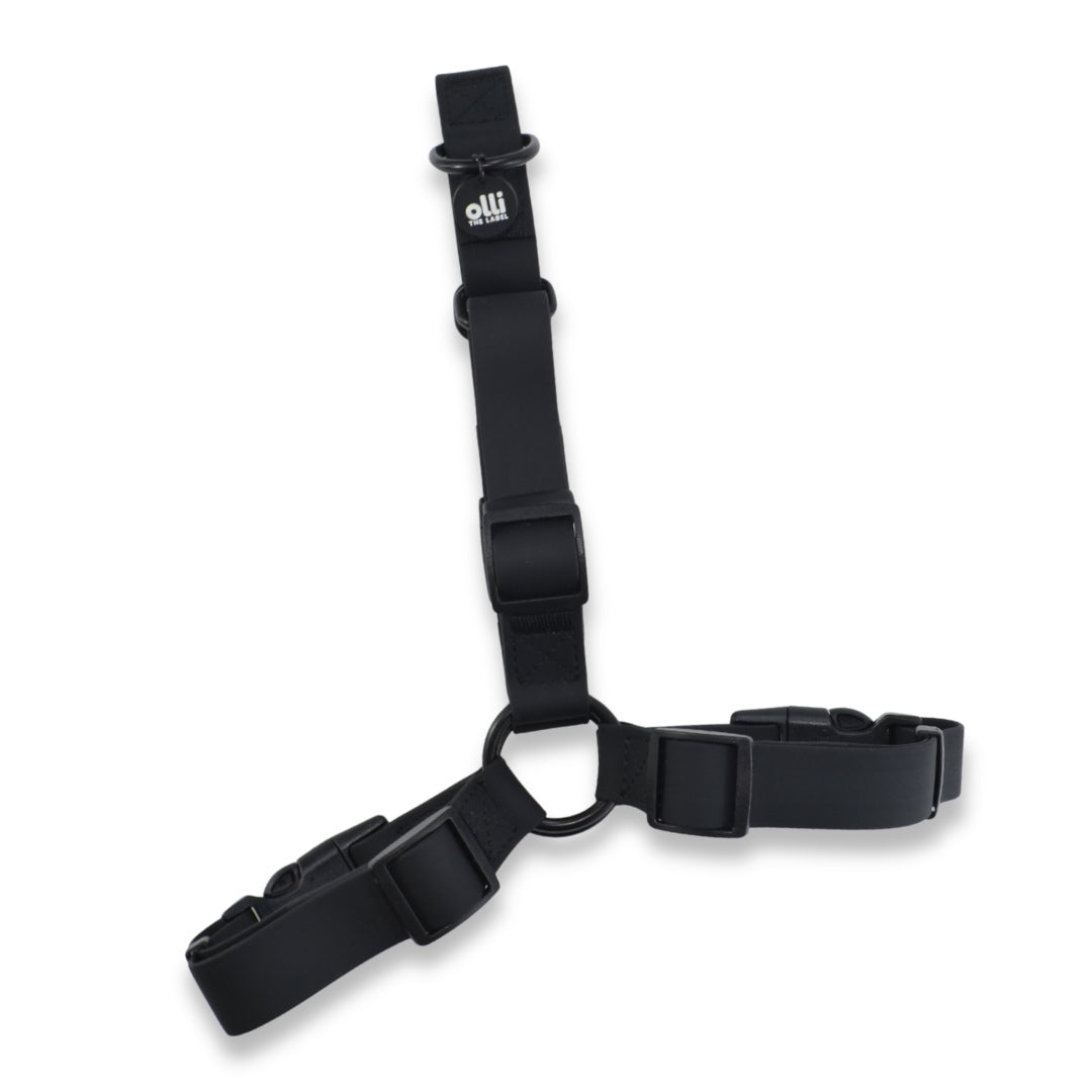 Lead + Harness Bundle- Neutral Black