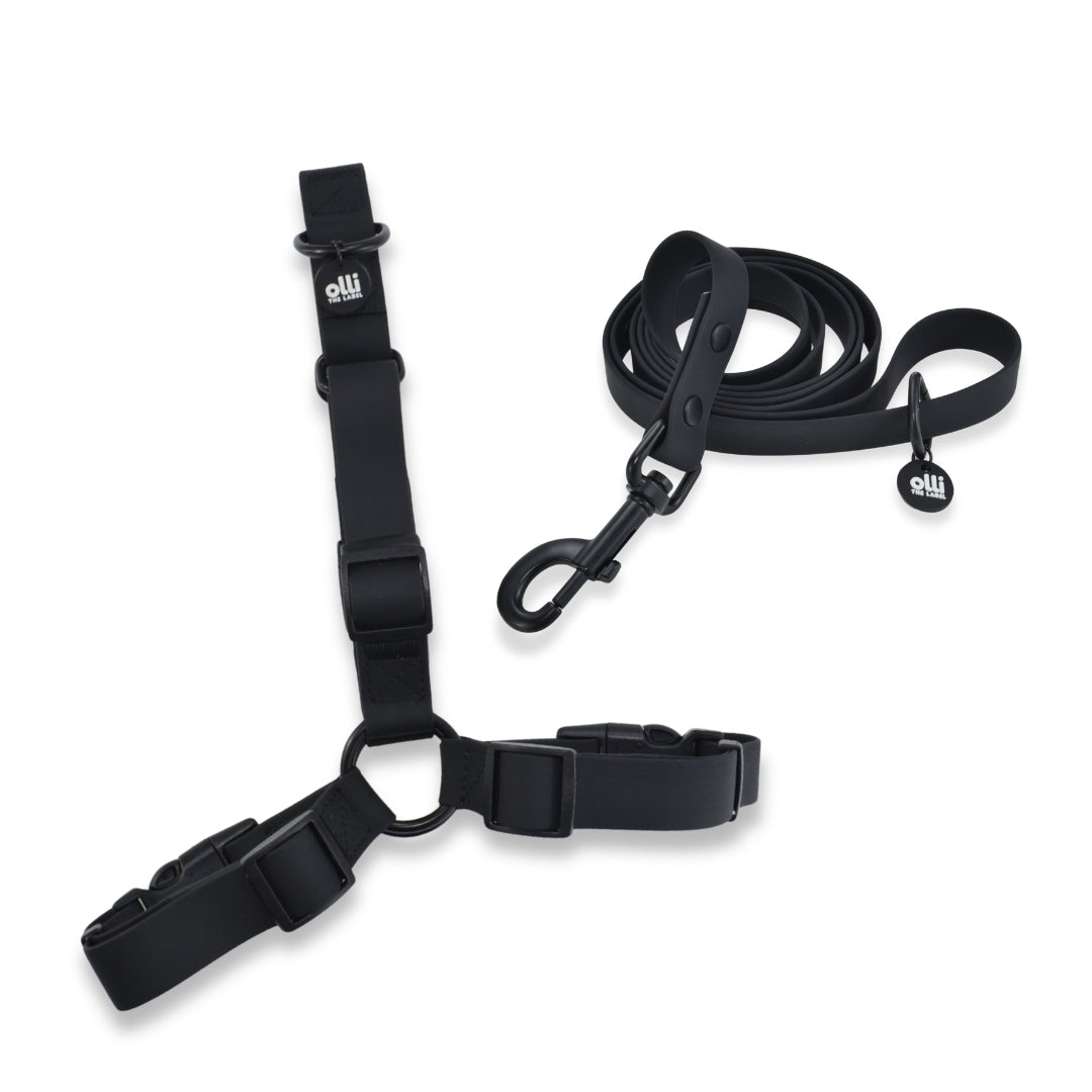 Lead + Harness Bundle- Neutral Black