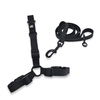 Lead + Harness Bundle- Neutral Black