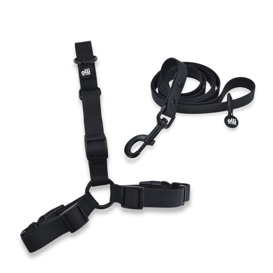 Waterproof Dog Harness and Lead Set – Neutral Black