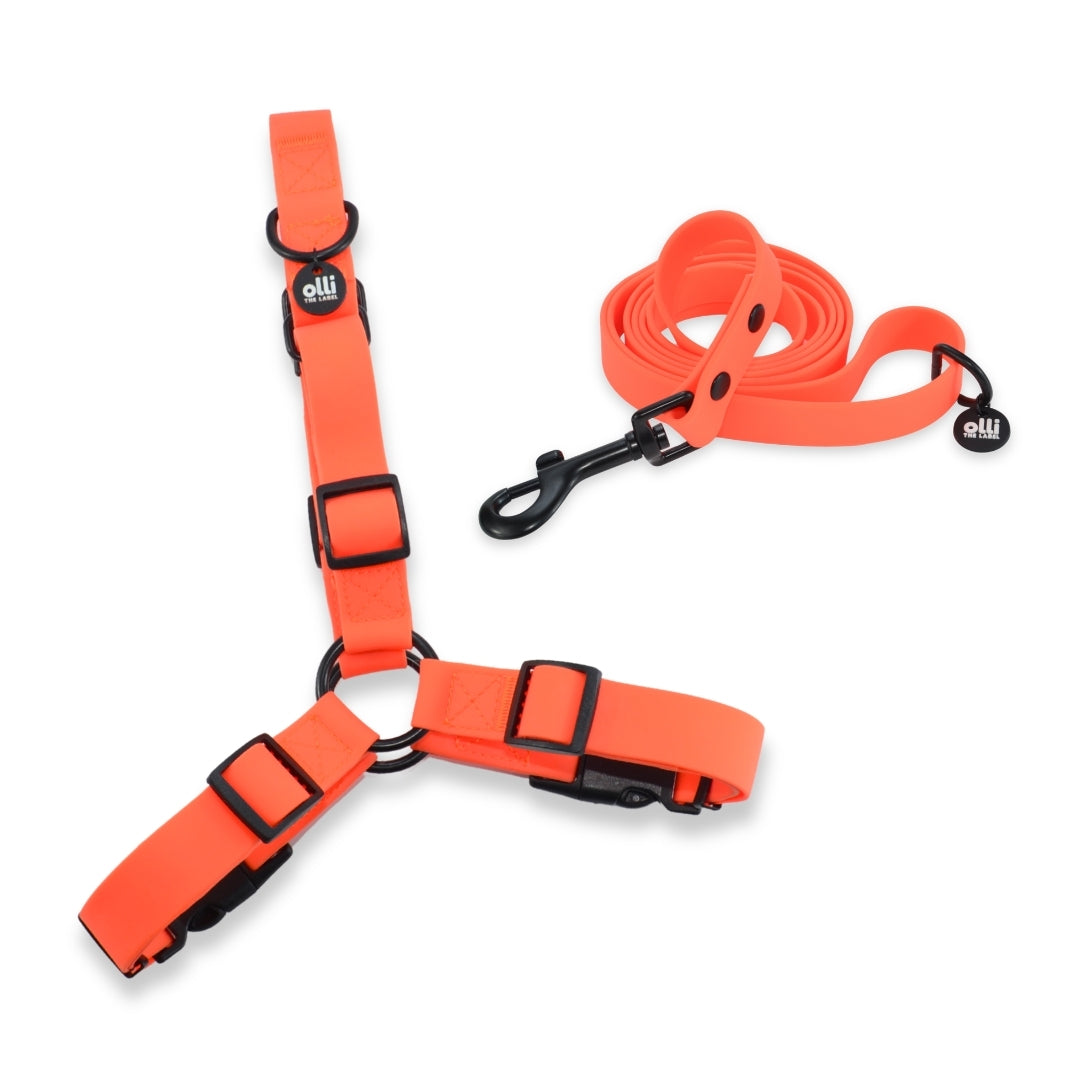 Waterproof Dog Harness and Lead Set – Neon Orange