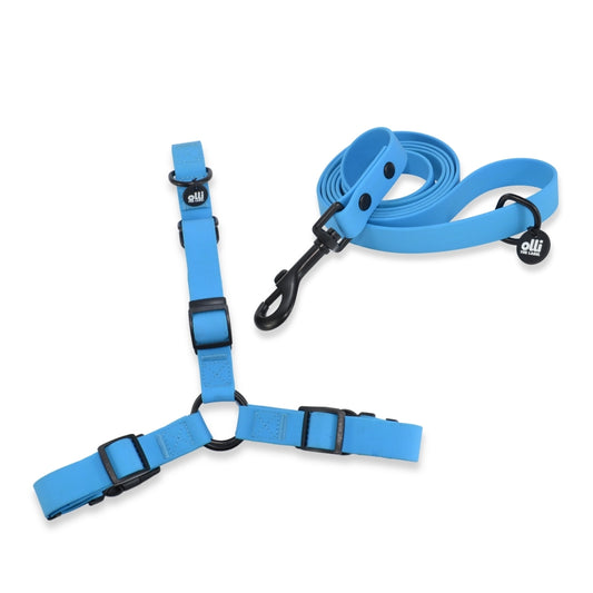 Waterproof Dog Harness and Lead Set – Olli Blue