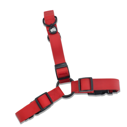 Lead + Harness Bundle- Candy Red