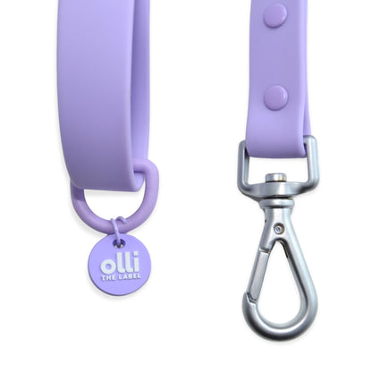 Lead + Collar Bundle- Lavender Bloom