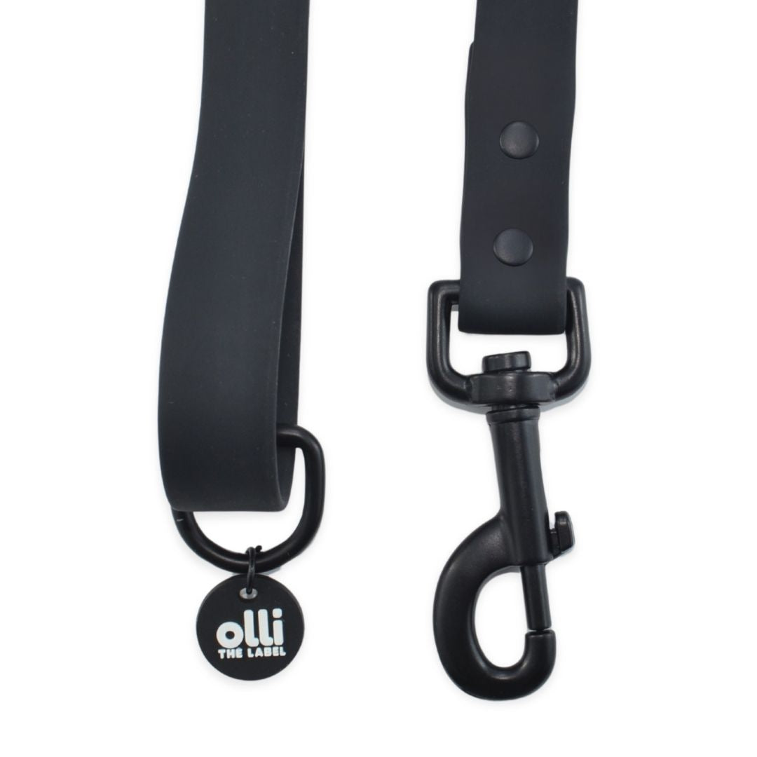 Lead + Collar Bundle- Neutral Black