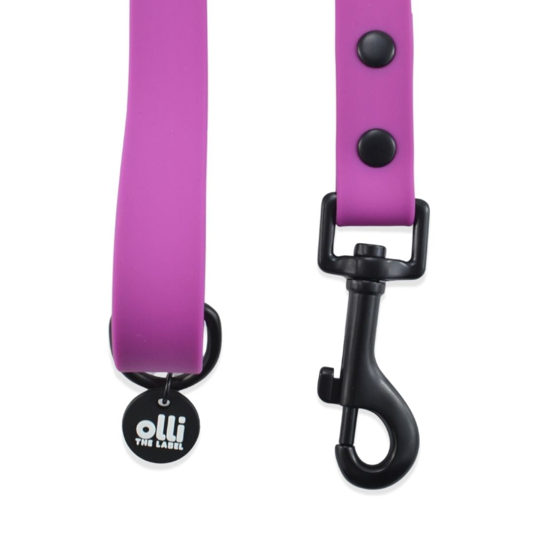Lead + Harness Bundle- Purple Fuchsia