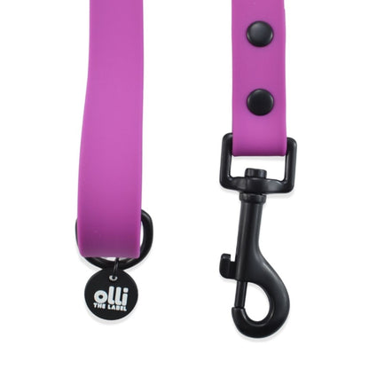 Lead + Harness Bundle- Purple Fuchsia