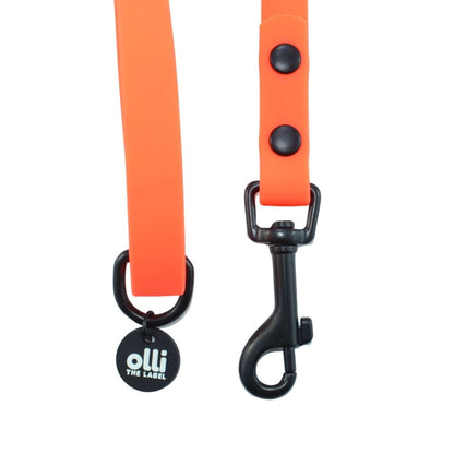 Lead + Harness Bundle- Neon Orange