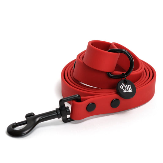 candy red lead